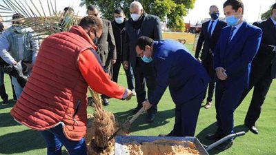 التنظيم والإدارة: انتهاء مشروع تحديث الملف الوظيفي في الوادي الجديد