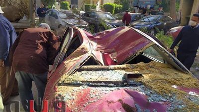 4 مصابين في حادث سقوط شجرة على عدد من السيارات بالمهندسين| فيديو وصور