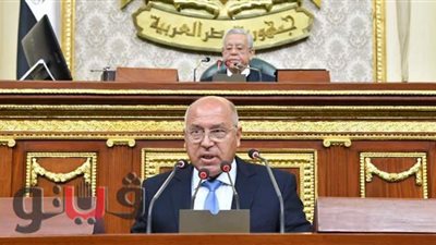 نائبة تطالب بتركيب كاميرات بوسائل النقل لمواجهة التحرش