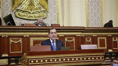 وزير البترول يكشف حالات توصيل الغاز الطبيعي للمنازل 
