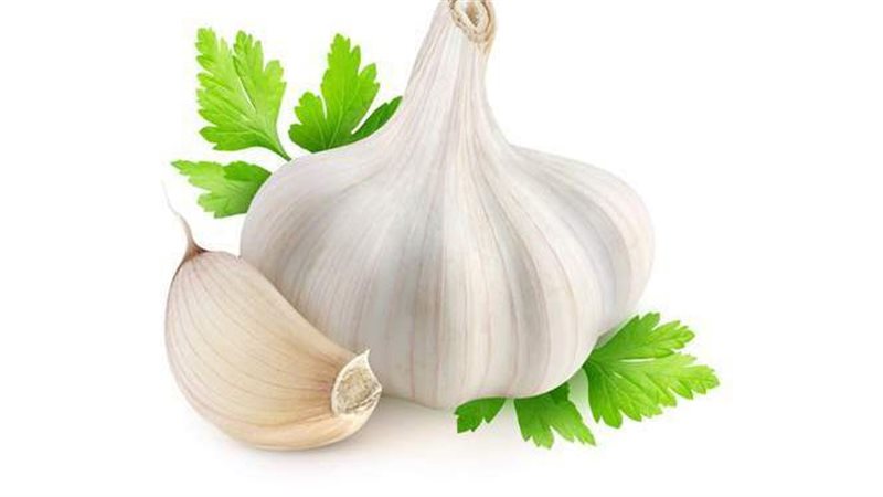الثوم