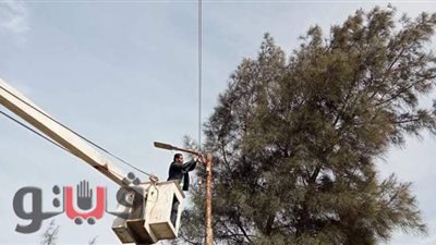 صيانة ٤٠ كشافا للإنارة بمدينة التل الكبير في الإسماعيلية | صور