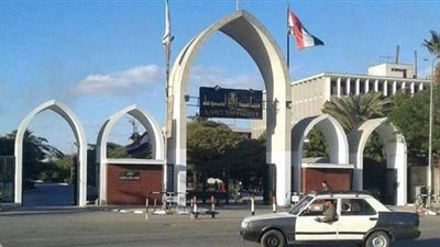 جامعة أسيوط تبحث خلق حلول لمشكلة الكلاب الضالة