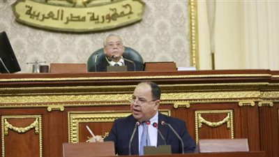 وزير المالية يكشف أوجه صرف ناتج رفع الدعم.. وخطة زيادة المرتبات والمعاشات