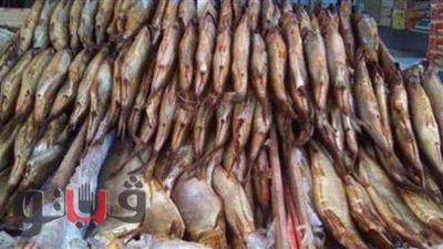 ضبط ٦ أطنان رنجة فاسدة داخل مصنع بدون ترخيص في الغربية