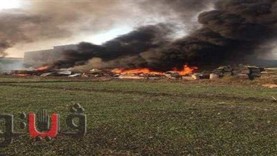 حريق يلتهم 11 ألف كتكوت بمزرعة دواجن فى الشرقية