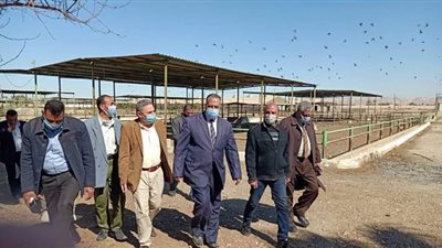 محافظ أسيوط: حملات مستمرة للنظافة ومتابعة المشروعات الإنتاجية