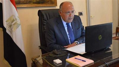 شكري يبحث تعزيز التعاون الثنائي مع وزيرة الخارجية السيراليونية