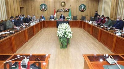 محافظ المنوفية يناقش معوقات الرصف ويكلف بتذليل العقبات