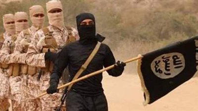 منتصر عمران: داعش لايمثل خطرًا يذكر على الجيش في سيناء ‏