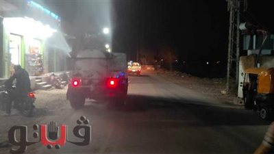 تعقيم قرية أبو عاشور في التل الكبير بالإسماعيلية | صور