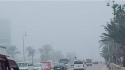 انتشار شبورة مائية كثيفة بالاسكندرية