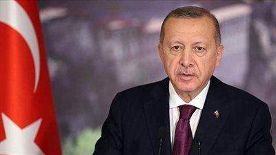 حصانة من المساءلة وتنكيل بالجيش.. ملامح دستور أردوغان المرتقب