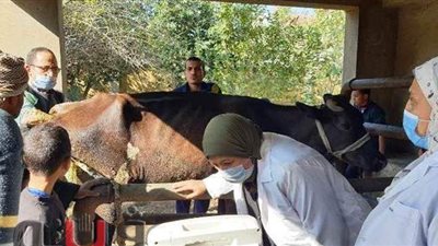 تزويد 80 وحدة بيطرية بمعدات التلقيح الصناعي بالشرقية