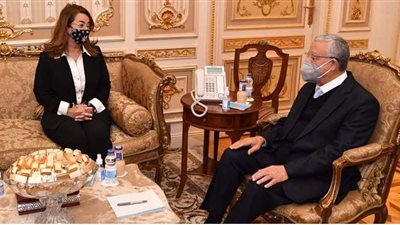 تفاصيل لقاء رئيس مجلس النواب وغادة والي