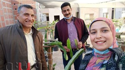 فاكهة دراجون فروت.. نبات صبار يقي من السرطان ومفيد لمرضى الضغط والسكر.. جورج: فوائدها تعادل 30 فاكهة.. وزراعته مربحة