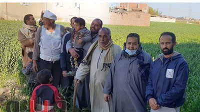 صرخة مستأجري الأوقاف بالغربية: رفعوا إيجار الفدان لـ٩٦٠٠جنيه| فيديو