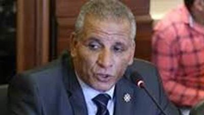 برلمانى: تطبيق الحد الأدنى للأجور بالوزارات والهيئات ضرورة حتمية