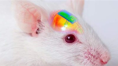 غرسة دماغية بمصابيح LED تقنية كورية للسيطرة على المزاج