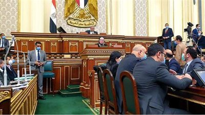 وزيرة الصناعة أمام البرلمان: الانتهاء من المرحلة الأولى لمدينة الجلود بالروبيكي