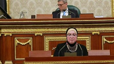 نيفين جامع: الحكومة أدارت ملف كورونا باحترافية كبيرة