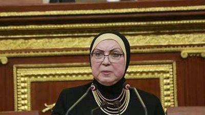 نيفين جامع: تعظيم الاستفادة من كافة اتفاقيات التجارة الحرة