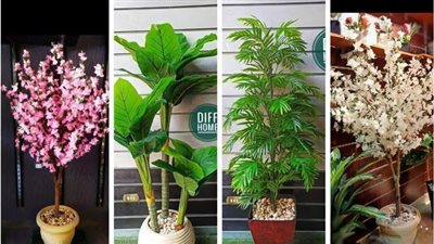 حكاية منى.. صاحبة الـ٢٠ عاما والمتوجة بين ورود الزينة