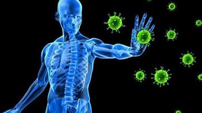 7 خضروات تناولها يوميًا لتقوية جهازك المناعي