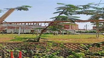 بالأرقام.. حصاد 