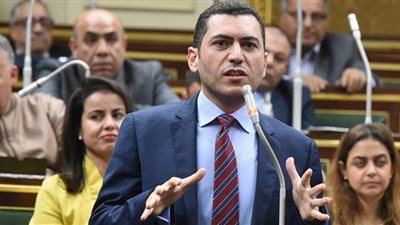 رسميًا.. نائب يتقدم بمشروع قانون لتغليظ عقوبة التنمر على 