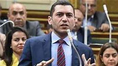 النائب محمد السلاب يطالب بسياسة واضحة لأسعار الكهرباء