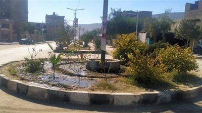 استمرار حملات النظافة وتشجير وصيانة كشافات الإنارة بأسيوط