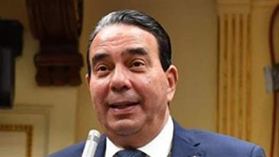 نائب يطالب بتبني مشروع اكتتاب عام للاستثمار في الكهرباء