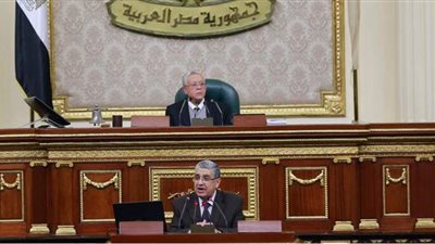 وزير الكهرباء يكشف جهود إزالة الخطوط العشوائية