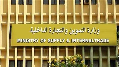 ضبط مخللات منتهية الصلاحية داخل مصنع فى الاسكندرية