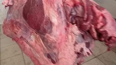 ضبط 31 طن لحوم ودواجن وكبدة وأسماك فاسدة بالجيزة