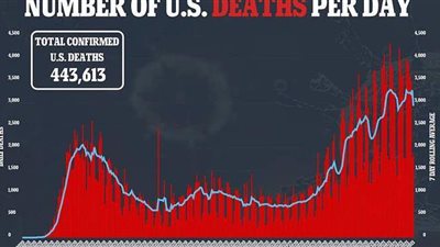 دراسة: أمريكيون تتراوح أعمارهم بين 20 إلى 49 عاما مسؤولون عن انتشار كورونا