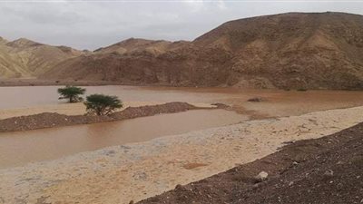 الري: حجز 300 ألف متر3 من مياه السيول في طابا..وأمطار غزيرة على شرم الشيخ ونويبع