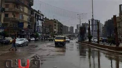 سقوط أمطار متوسطة على عدة مدن بمحافظة الغربية | صور