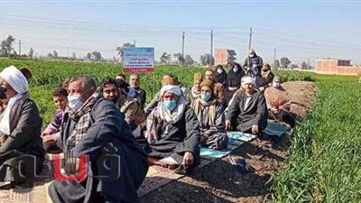 زراعة الشرقية تنفذ مدرستين حقليتين عن محصولي القمح والفول بههيا