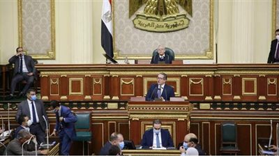 حنفي جبالي يطالب أعضاء البرلمان بعدم استخدام مصطلحات أجنبية تحت القبة