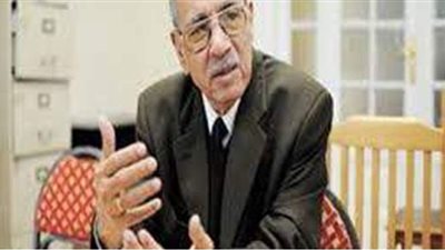 عبدالغفار شكر: التراجع عن تصفية الحديد والصلب مرهون بموقف النواب والأحزاب