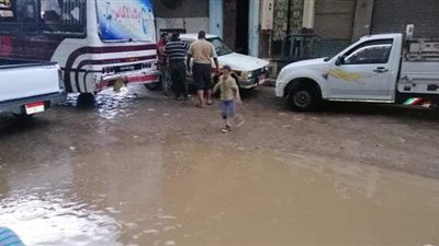 أمطار رعدية تضرب المنيا | فيديو وصور