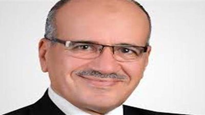 نائب: مشروع تطوير القرى يدعم الاقتصاد الوطنى