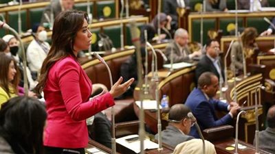 نائبة تسأل عن سبب تعاقد السياحة مع شركة أجنبية بـ 30 مليون دولار