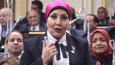 برلمانية تطالب إجراء مسح ديموغرافي بالمحافظات لمواجهة الانفجار السكاني