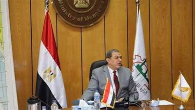 سعفان: لا يوجد استغناء ملحوظ عن العمالة المصرية بالخارج.. والبطالة تراجعت لـ7.3%