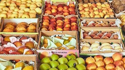 أسعار الفاكهة اليوم الاحد 7-2-2021 في مصر