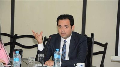 الزيات: زيارة الحريري مُبشرة لدفع التعاون الاقتصادي المصري اللبناني