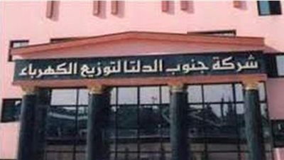 الاستعلام عن فاتورة كهرباء فبراير شركة جنوب الدلتا